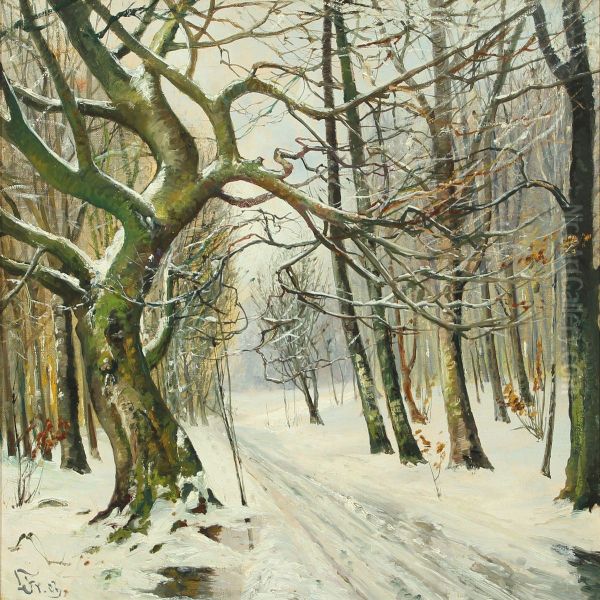 Wintry Day In The Forest - view 1