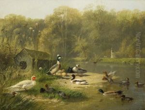 "enten Am Teich" In Stimmungsvoller Parklandschaft by Fritz Lange