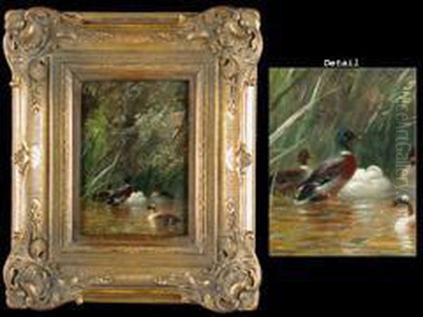 Enten Am Weiher - view 1