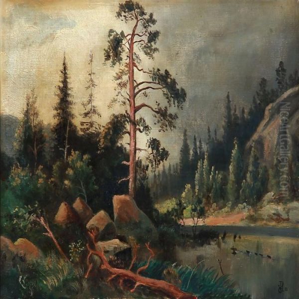 Forest Scene With A Lake - view 1