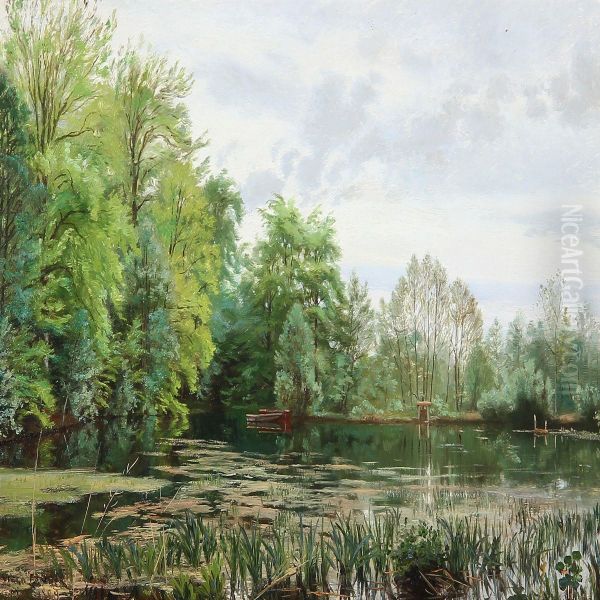 A Forest Lake In Hellebaek, Denmark - view 1