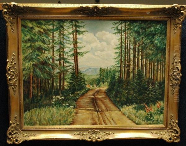 Dat. 58, Tannenwald Mit Feldweg - view 1