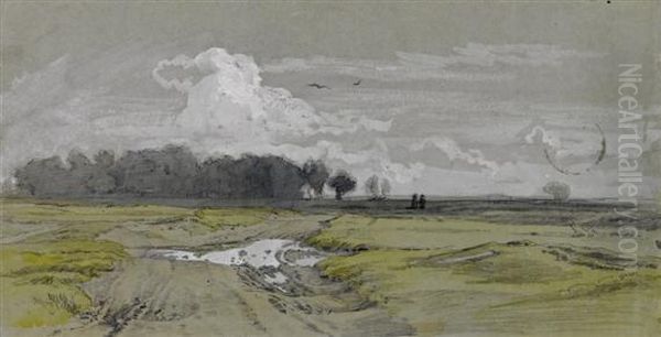 Broad Flat Landscape - view 1