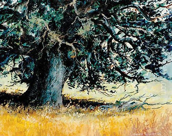 Ancient Tree - view 1