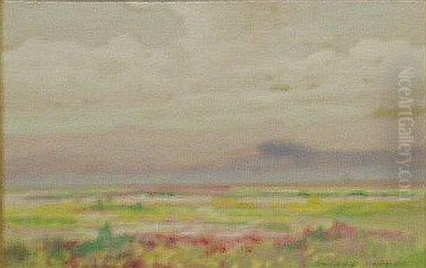 Western Landscape - view 1