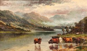 Loch Elk