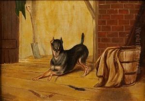 Ratting by E Langlois
