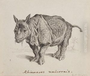 Rhinoceros Unicornis by Eustache Hyacinthe Langlois
