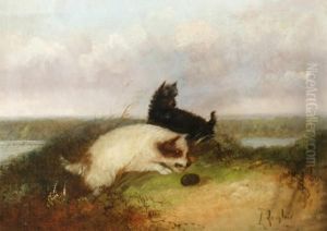 Terriers Et Herisson by J. Langlois