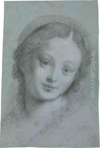 The Head Of The Virgin by Bernardino Lanino