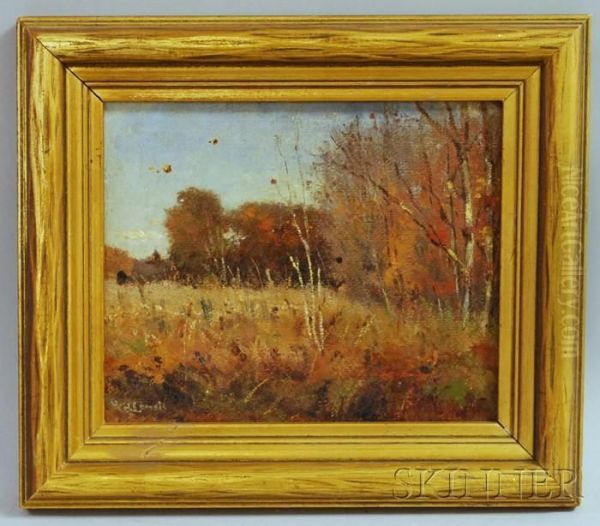 An Afternoon In October - view 1