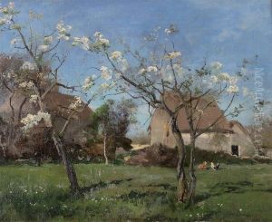 Poiriers En Fleurs, A La Ferte