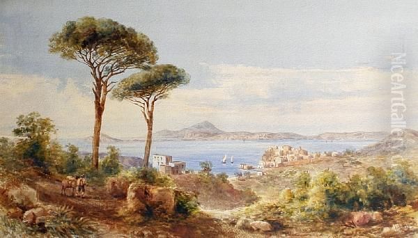 View Of Pozzuoli With Ischia In The Background - view 1