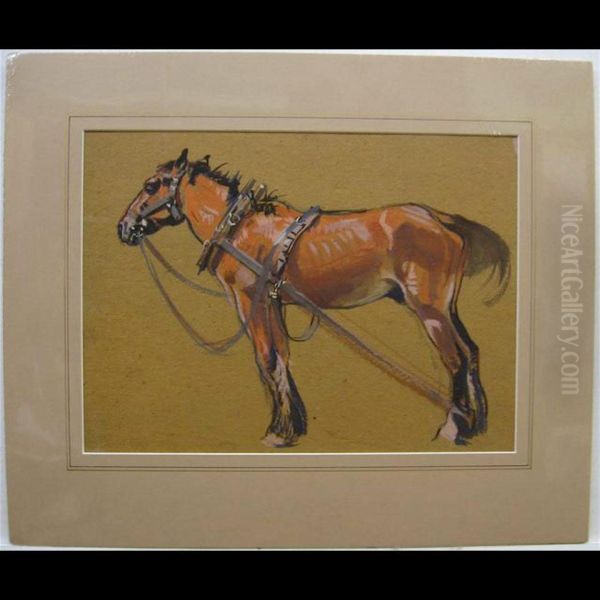 Farm Horse - view 1