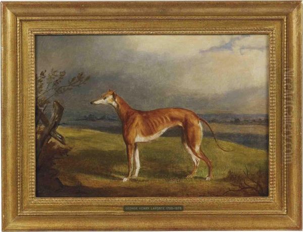 A Greyhound In A Landscape - view 1