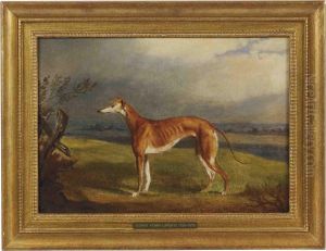 A Greyhound In A Landscape