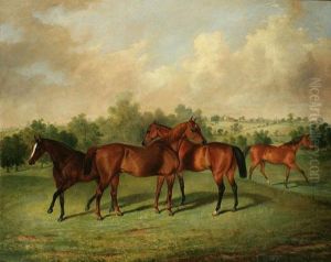 Horses In A Rolling Countryside by George Henry Laporte