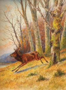 Le Debuche, Cerf Sortant Du Bois by Georges Larocque