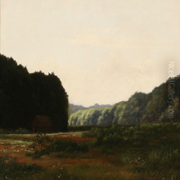 A Forest Glade - view 1