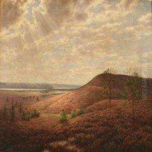 Moor Landscape