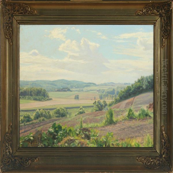 Hilly Landscape - view 1