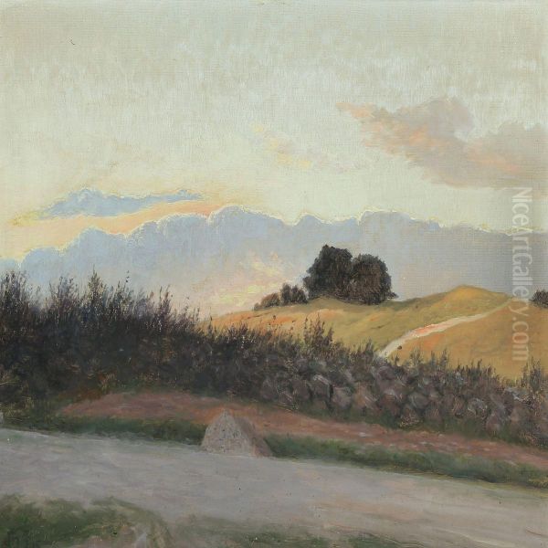 Danish Summer Landscape With Stone Wall - view 1