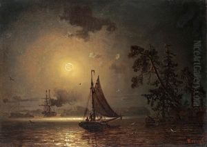 Nocturnal Voyage