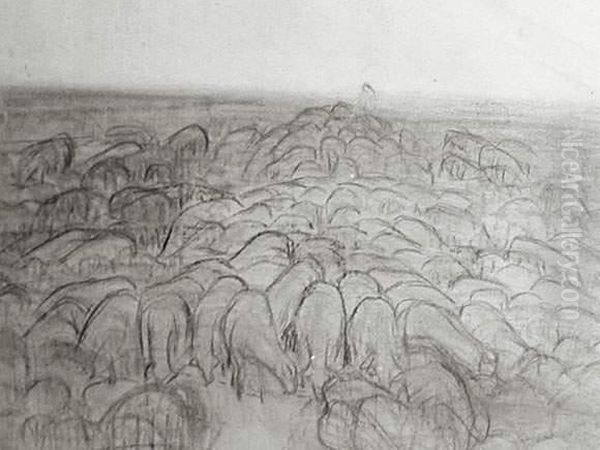 Troupeau De Moutons - view 1