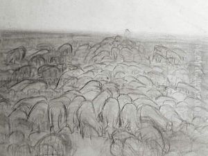 Troupeau De Moutons