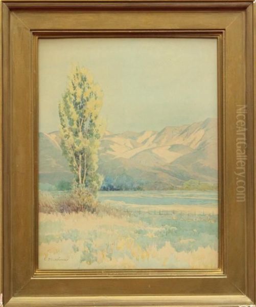 ''the Eastern Mountains,
Reno Nevada'' - view 1