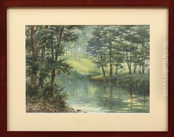 Stream Through The Woods - view 1