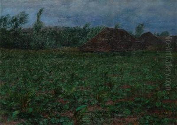 Dusk - view 1