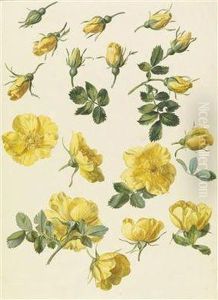 Yellow Roses by Josef Lauer