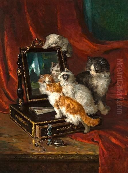 Les Chatons Curieux - view 1