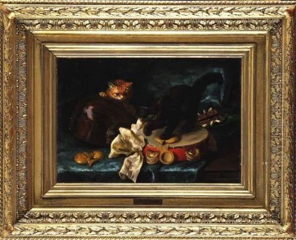 Chatons Jouant Avec Des Instruments De Musique - view 1