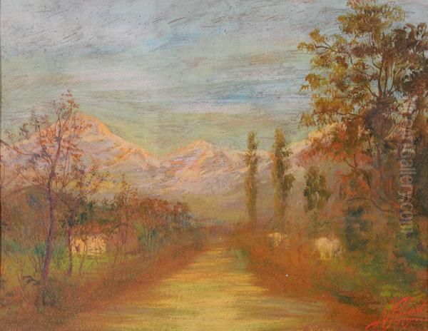 Viale Di Campagna - view 1