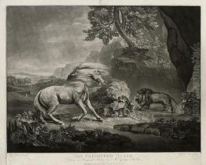 The Frighten'd Horse