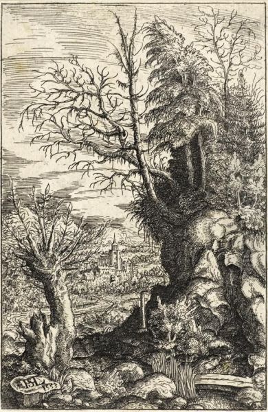 Landschaft Mit Der Weide (landscape) - view 1