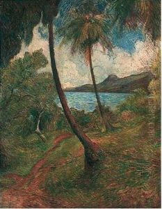 Paysage De La Martinique