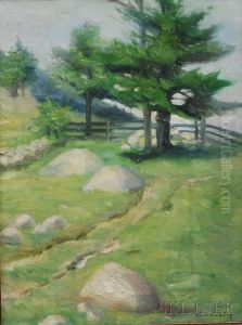Landscape With Rocky Field And Pine Trees by Jonas Joseph LaValley