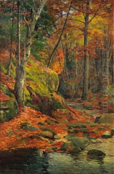 Woodland Stream - view 1