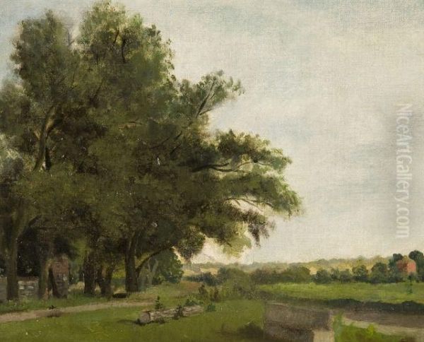 Paysage Aux Grands Arbres - view 1