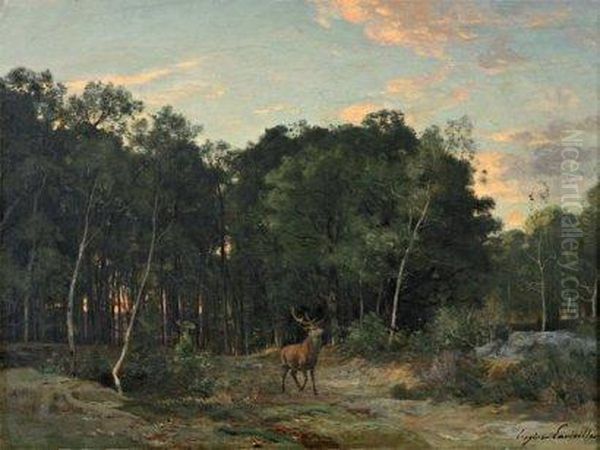Futaie De La Plaine Du Rosoir,fontainebleau, Le Soir - view 1