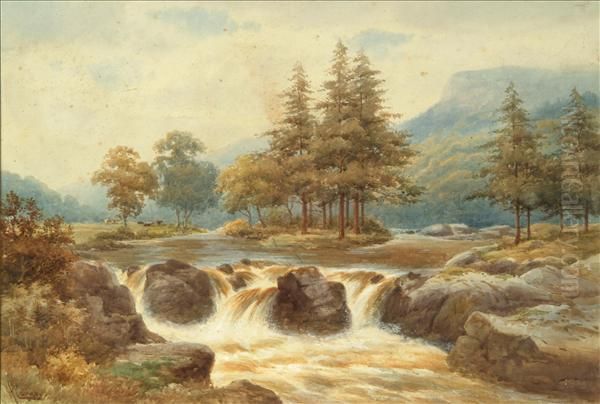 A Rocky River - view 1