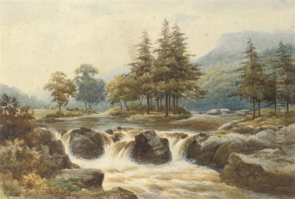 A River In Spate - view 1