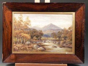 On The Llugwy, N. Wales by Harold Lawes