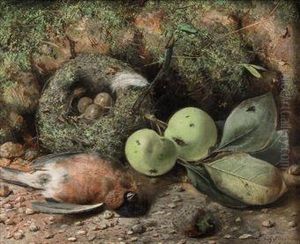 Fruit, A Nest And Game On A Forest Floor by Cecil Gordon Lawson