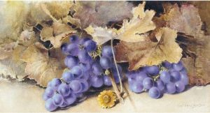 Still Life Of Grapes And Leaves by Constance Lawson