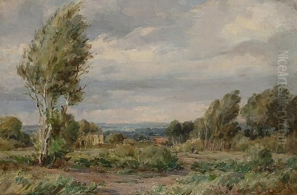 A Windy Day In The Country - view 1