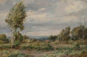 A Windy Day In The Country